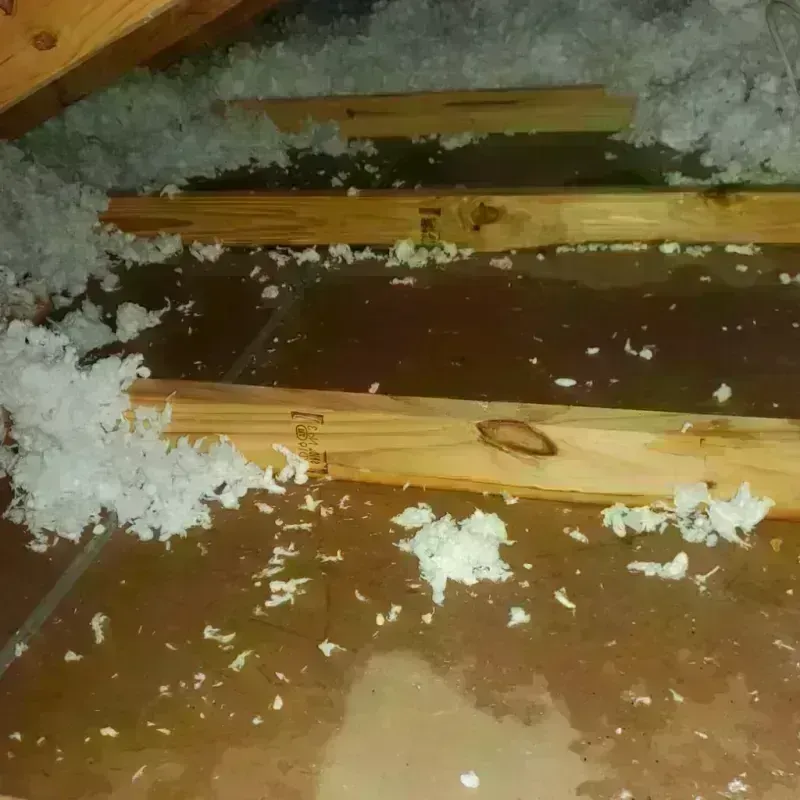 Attic Water Damage in Beecher, MI