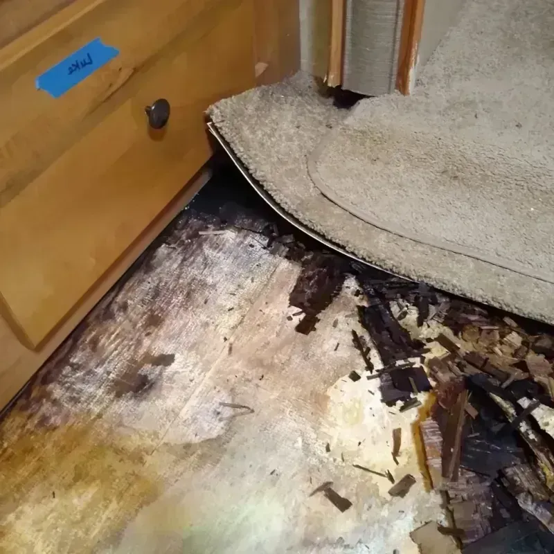 Wood Floor Water Damage in Beecher, MI